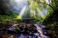 Pingbian Tinglan Homestay