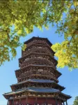芒果ビジネスホテル（応県木塔） - ペット同伴可