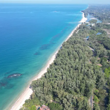 The TALAY