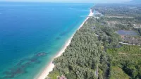The TALAY