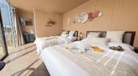 Camel shadows in the vast desert - balcony
