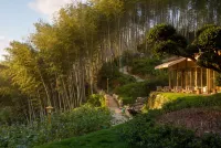 Huaxiangu · Lingshan Bamboo Sea Detached Treehouse Homestay - Mountain view