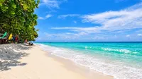 Dumaluan Beach Resort Panglao powered by Cocotel - Breakfast