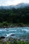 Shambhala Forest (Basha Scenic Area Branch) - vue sur la montagne