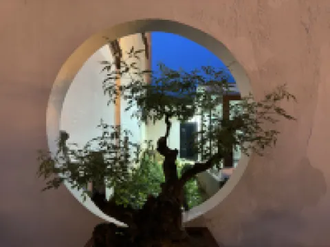 Dengfeng Songzhiyang Inn