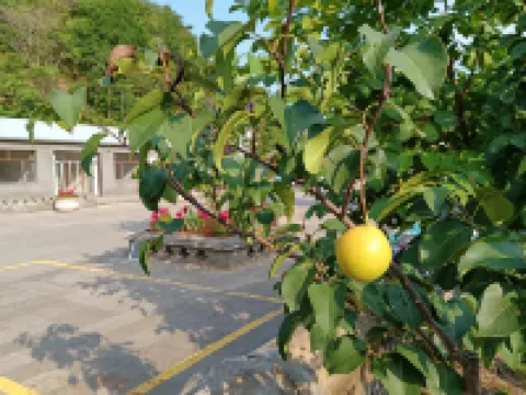 Muping Chaoxing Farmhouse (Jinshanling Great Wall Branch) Hotels near Jinshanling Great Wall