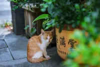 Anji Lanshe Homestay (Zhongnan Baicaoyuan Yuan Anji Natural Museum Branch) 우창석 고거 주변 호텔