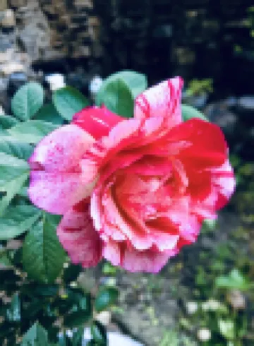 朗香洋房 台南安平民宿2-12人包棟 安平樹屋附近的飯店