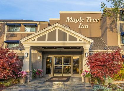 Maple Tree Inn