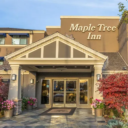 Maple Tree Inn