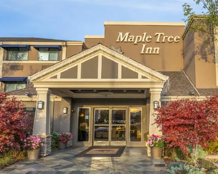 メープル ツリー イン サニーベールのホテル