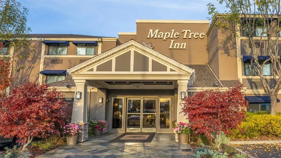 Maple Tree Inn