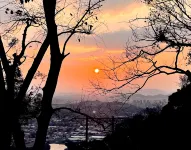 Mingshan Qingyuan Tea Yard  Hotel - Bjergudsigt