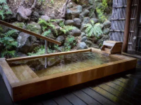 鶴巻温泉 元湯 陣屋 秦野のホテル