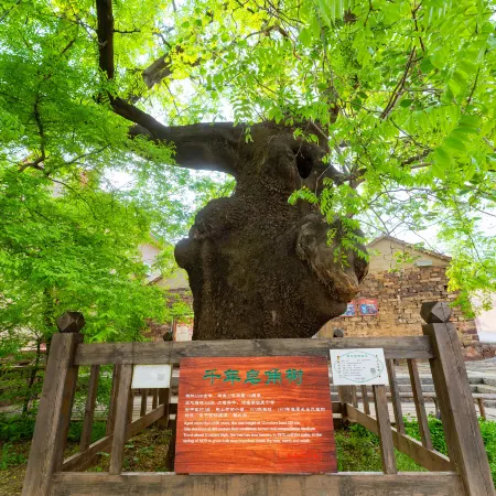 Dongluyuan Hotel