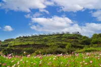 Wanggangping Dehushe Turtle Ecological Camp