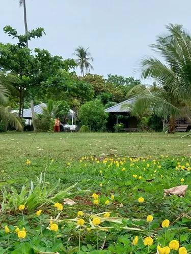 รูปภาพของไนยวาชา เต็นท์ เกาะหมาก