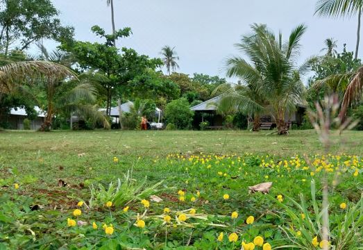 글램핑 후기 사진