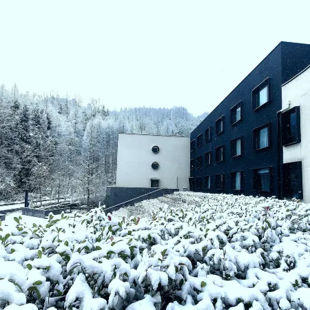 Chengdu Dayi Xiling Snow Mountain Outlets Star Joy Resort Hotel