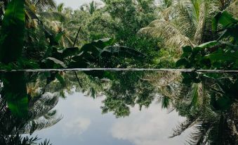 Lintang Luku Tent Resort Ijen, Banyuwangi
