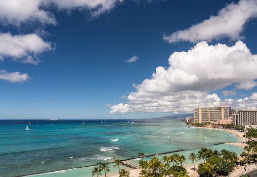 호텔 로비 크리스마스 장식