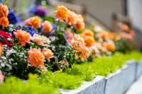 Wuhu · Wanchun Tea Origin · Joyful Wild Luxury Scenic View Leisure & Vacation Courtyard 판창서부기차역 주변 호텔