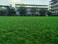 Lanling Homestay Hotels near Dabu Cultural Square