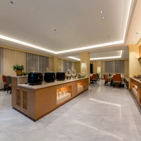 Vienna Hotel (Dingri Basong Village Branch)