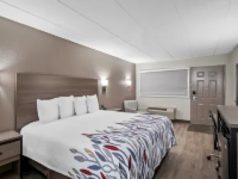 Red Roof Inn Ann Arbor - U of Michigan South Hotels in Ann Arbor