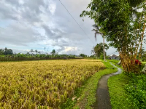 Four Mountains Villa Bedugul by AGATA
