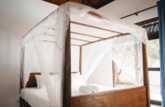 Orchid Villa By Paradise Hoteles en 