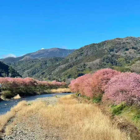 Floral Hotel · Sakura-zaka Onsen (Izu Kogen Omuroyama)