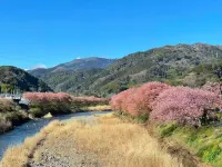 Floral Hotel · Sakura-zaka Onsen (Izu Kogen Omuroyama) - Mountain view