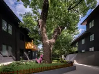 Blossom House Prince Kung’s Mansion · Beijing Houhai Hotels in Houhai Area
