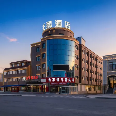 White Swan Hotel (Bayinbulak Town)
