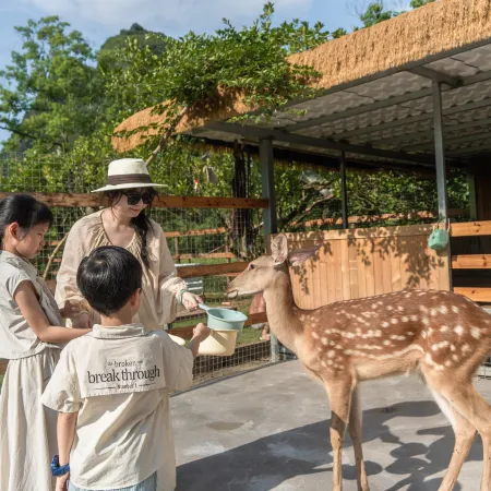 Yangshuo Yuyuan Resort (Shili Gallery &Yulong River)
