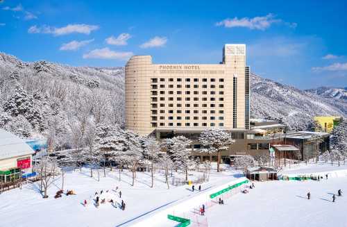 휘닉스 호텔 평창
