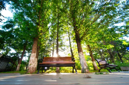 芝麻雲谷探索飯店（大連金石灘店） 飯店周邊 Photos