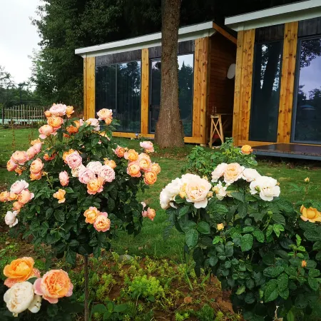 Jiangyou Cuiwei Countryside Homestay
