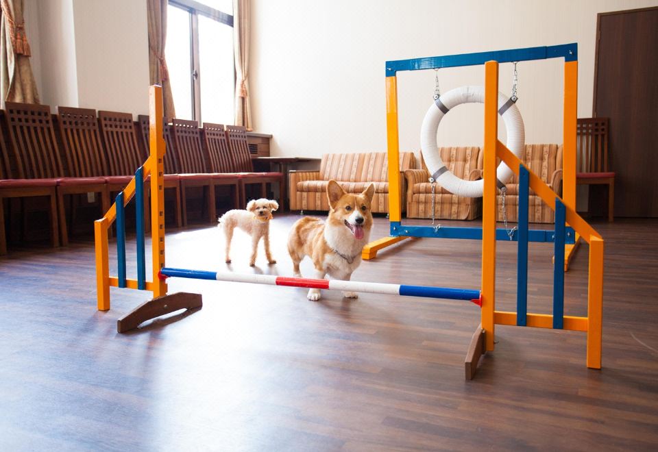 3. 이즈미고 다카야..