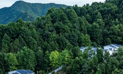 Floral Lux Hotel·JiuHua Mountain MoskyLand.Hope Hotel