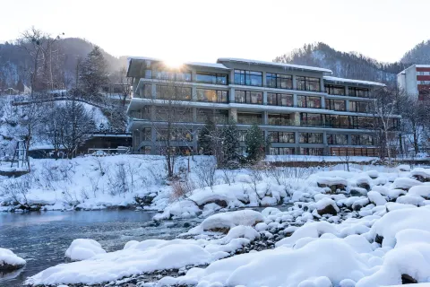 샬레 아이비 조잔케이