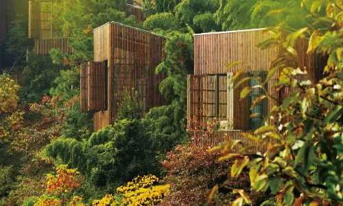 Meijie Mountain Hotspring Resort