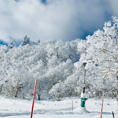 Snowball Hostel