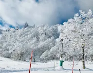 雪玉旅舍 - 山景