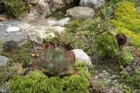 寂空望雪度假飯店（海螺溝冰川森林遊客中心店）