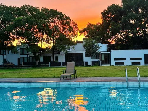 Quzhou Jianglang Mountain Harmony Courtyard·Four Arts of Song Dynasty - pet friendly