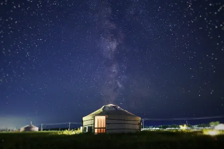 Troon Equestrian Camp