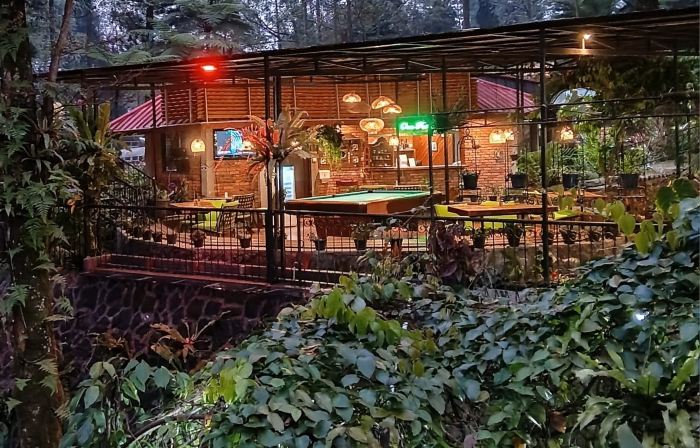 The Pinewood Lodge & Organic Farm