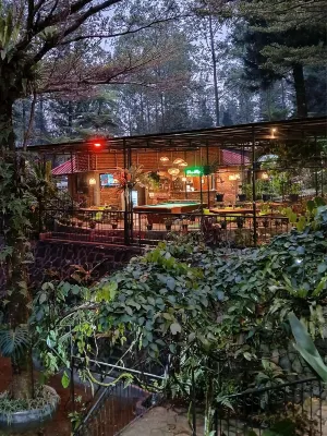 The Pinewood Lodge & Organic Farm Hotels near Sunset Point Telaga Saat Puncak